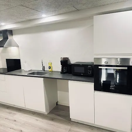 Daire I Naer Togstation Og Centrum Herning